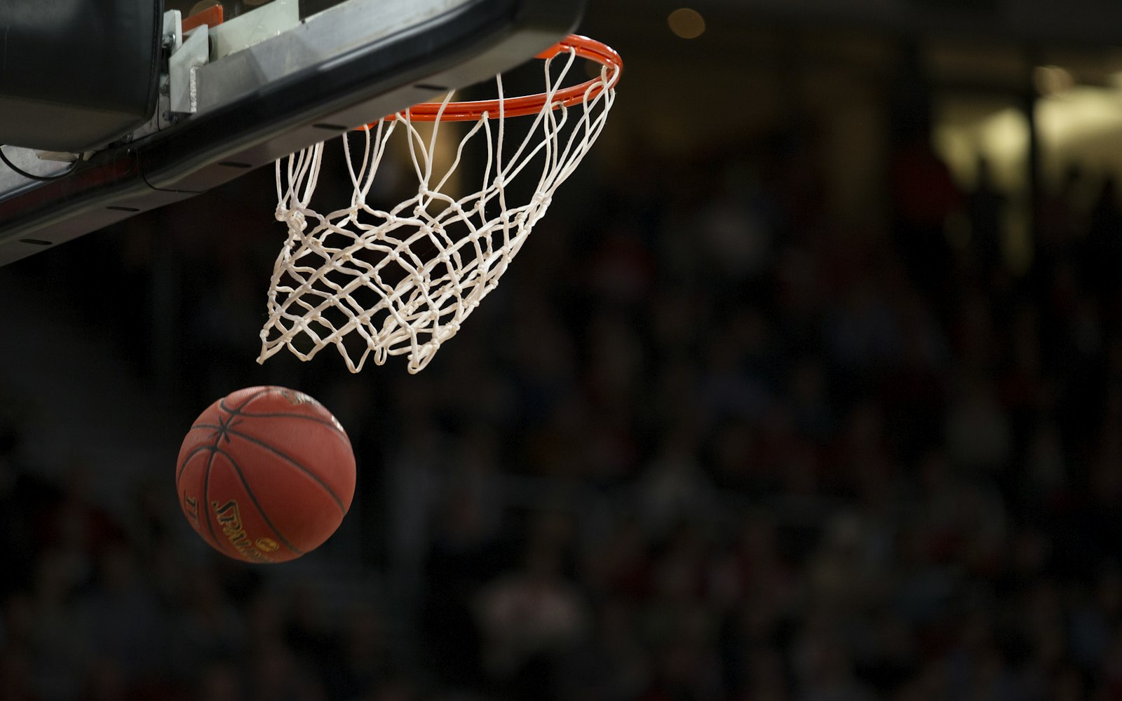 爱游戏(AYX)中国官方网站 - AYX SPORTS·封面特写：球馆上空的悬停时刻